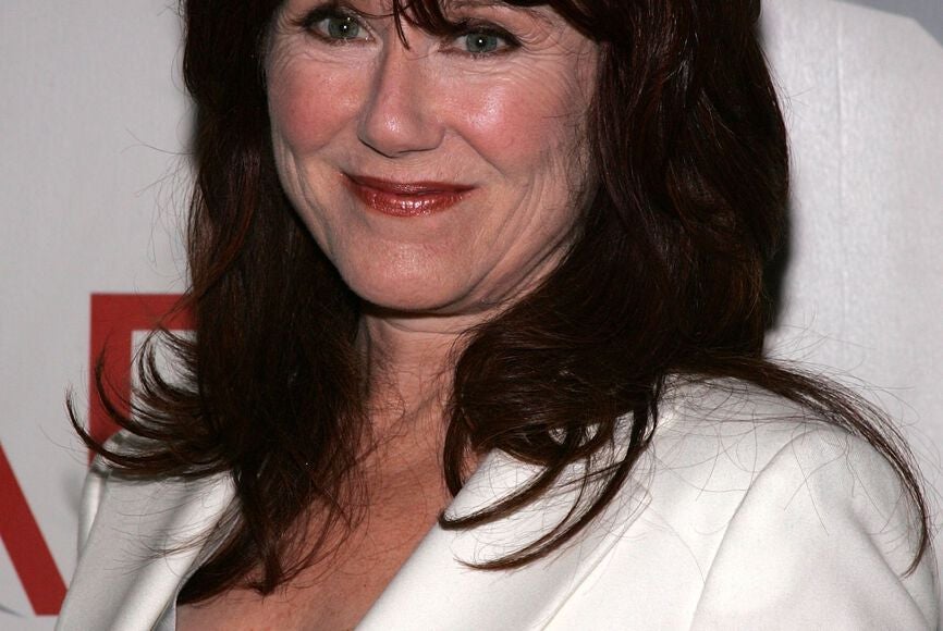 Mary McDonnell Plastic Surgery Procedures