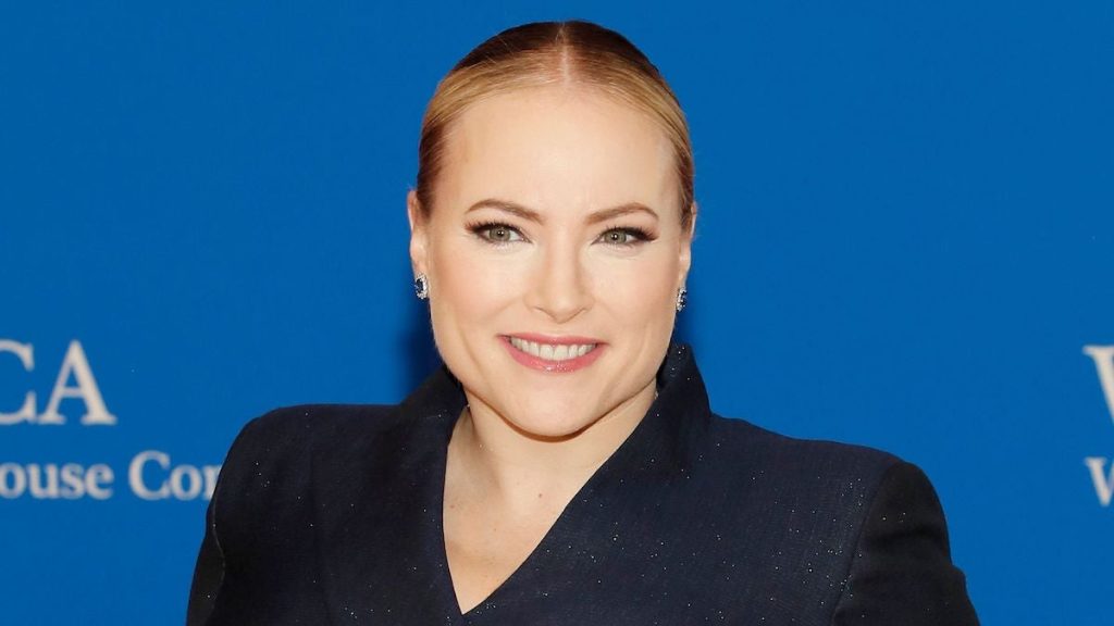 Meghan McCain Cosmetic Surgery Face